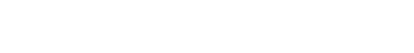 Partner_Logo